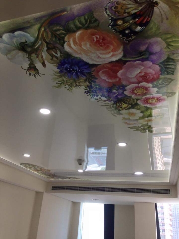 3d stretch ceilings walls in Lahore karachi Islamabad Pakistan barrisol saros galleriadesign house bank headoffice shops companies interior